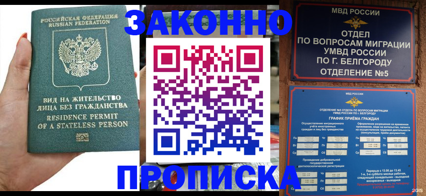 прописка для кредита в Каргате